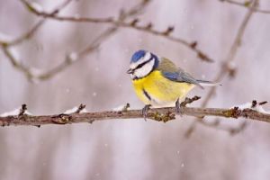 Voir le détail de cette oeuvre: Courageuse et déterminée