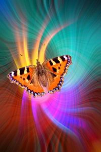 Voir le détail de cette oeuvre: Flamenco