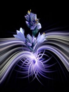 Voir le détail de cette oeuvre: Passion secrète