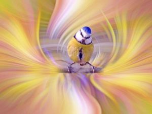 Voir le détail de cette oeuvre: Coup d'oeil sur le monde