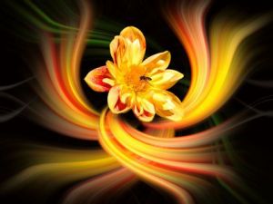 Voir le détail de cette oeuvre: Coeur de Lumière